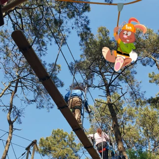 Fun Park Crozon Accrobranche A Quimper Osez La Foret Comme Terrain De Jeu Geant Avec Laccrobranche